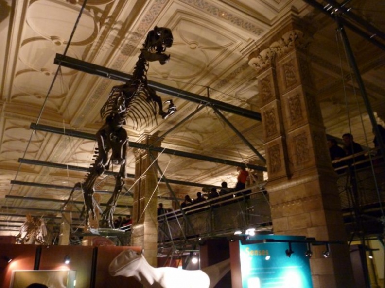 Overal view of the observation deck &amp; displays