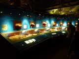 Miniaturized fossil exhibits