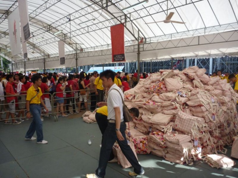 ndp2010_11.jpg