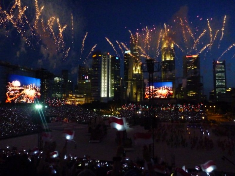 ndp2010_06.jpg