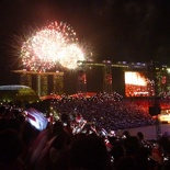 ndp2010_09.jpg