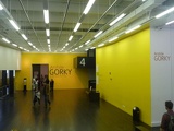 A display by Gorky