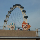 The youth olympic mascots before the flyer