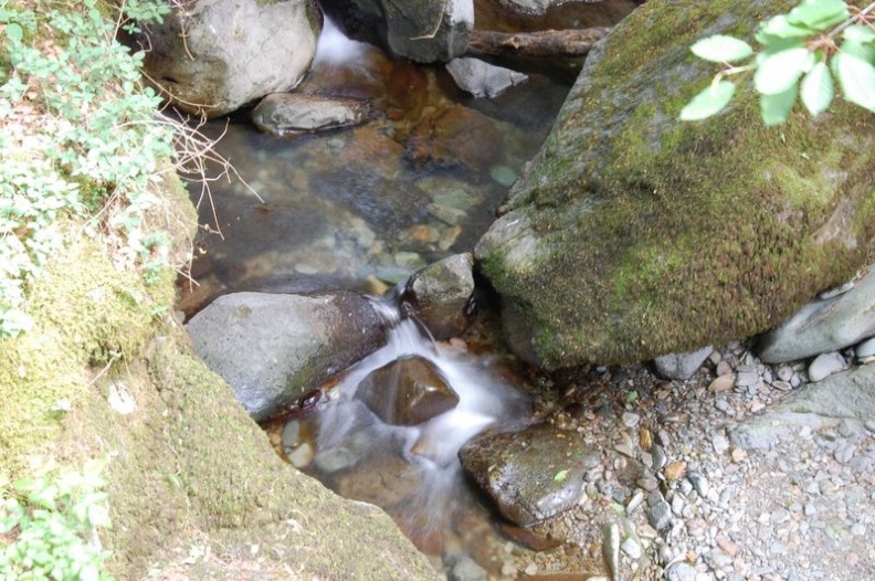 Little streams along our trek