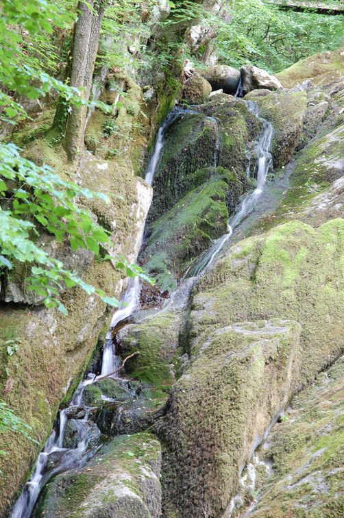 Here we are at Stockgill force!