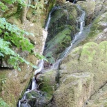 Here we are at Stockgill force!