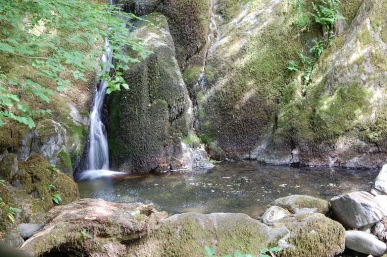 Nonetheless a nice refreshing water feature.