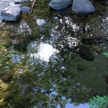 The water is clear and amazingly reflective