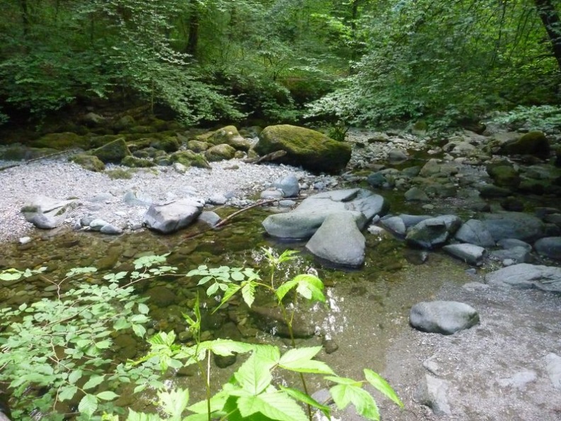 We found this nice river down stream from the falls