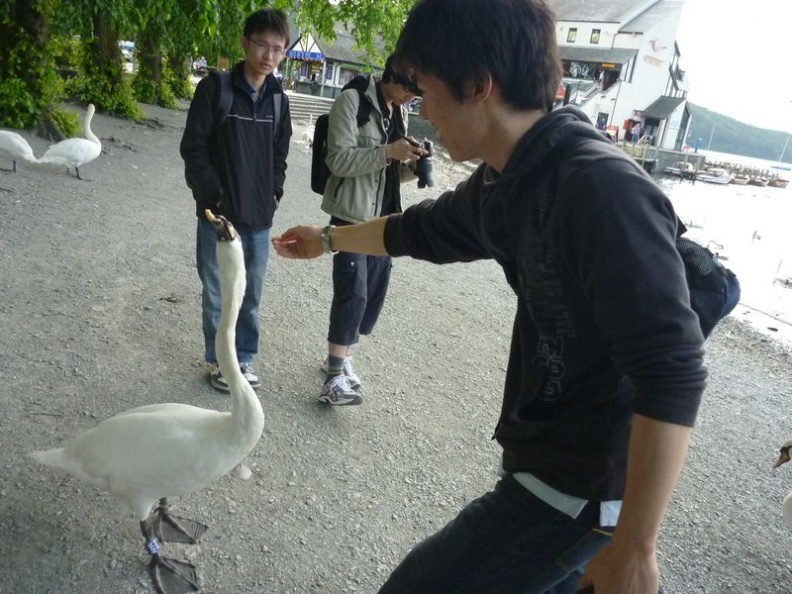 Feeding the natives. XD