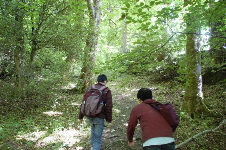 Peace with nature, gotta love the forest climb