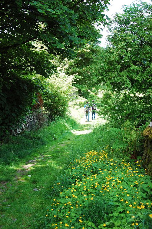 A small trail leading back to the main roads