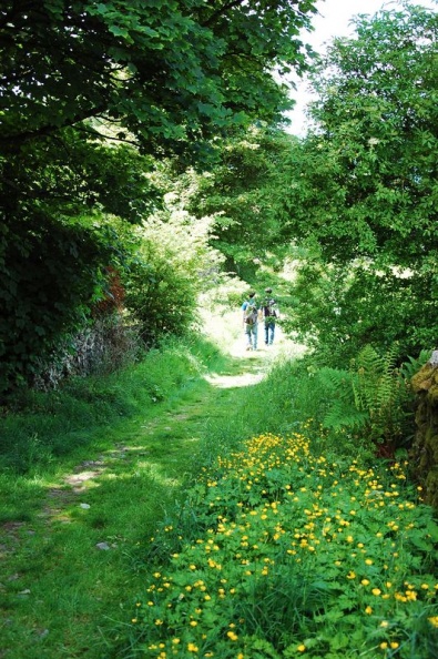 A small trail leading back to the main roads