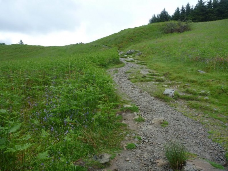 glenridding_helvellyn_ullswater_245.jpg