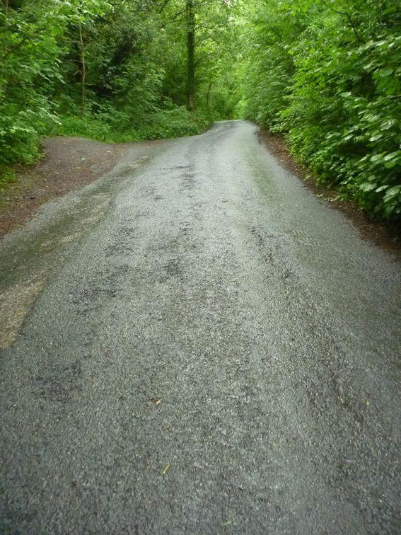 This slope is about 40 degrees tops, and stretches forever!