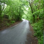 With a slope so steep, we could technically roll downhill on our return trip