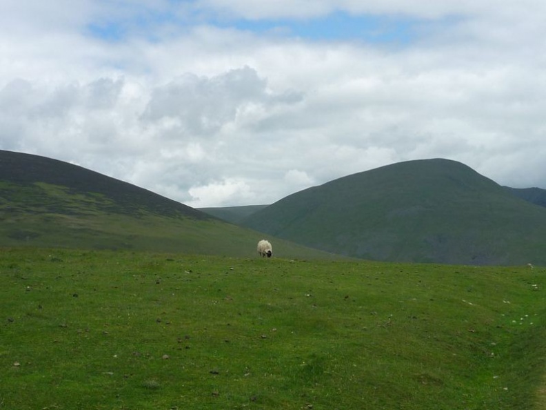 These methane factories are everywhere!