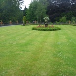 The neatly manicured lawns so screams JUMP ON ME!