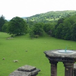 Overlooking a field of grazers