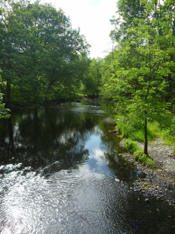 relaxing sounds of the flowing river