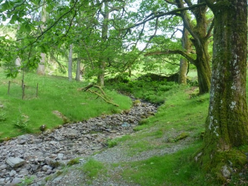 Our return saw a walk down a nicely forested cobble path