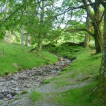 Our return saw a walk down a nicely forested cobble path