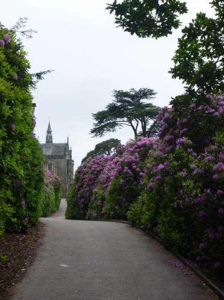 A walk through the gardens!