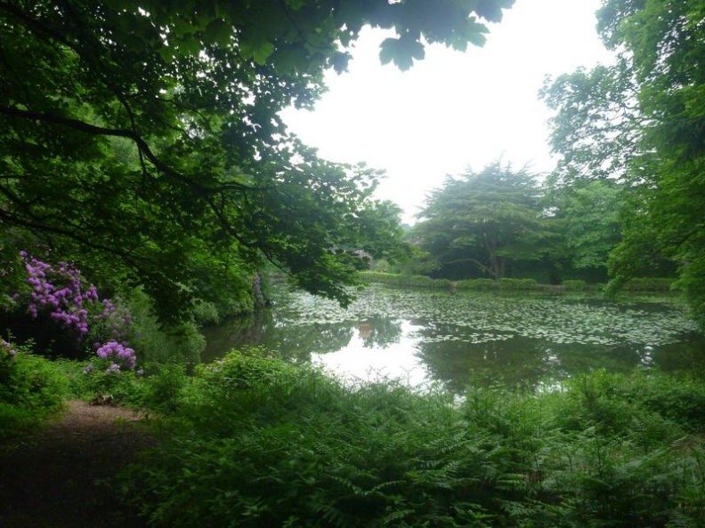 A walk back through the not so gloomy, gloomy woods