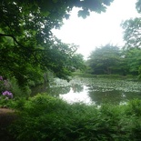 A walk back through the not so gloomy, gloomy woods