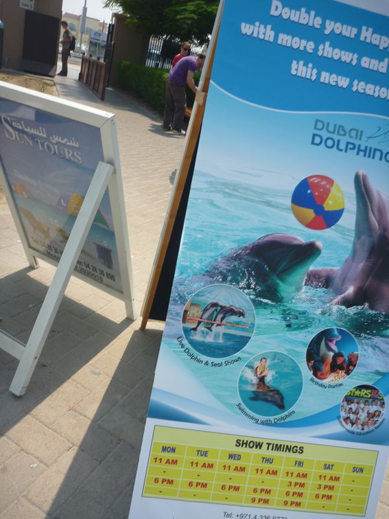 Oh a dolphinarium!