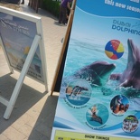 Oh a dolphinarium!