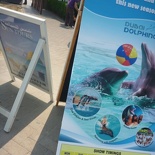 Oh a dolphinarium!