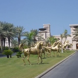 There are quite a number of horses leading to the hotel