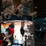 Niffy polar bears!