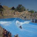 A flowrider!