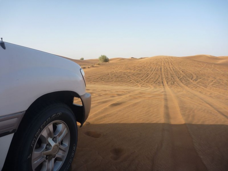 desert_safari_dubai_013.jpg