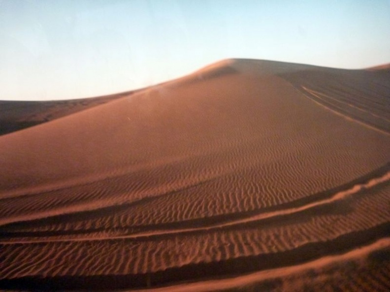 desert_safari_dubai_043.jpg