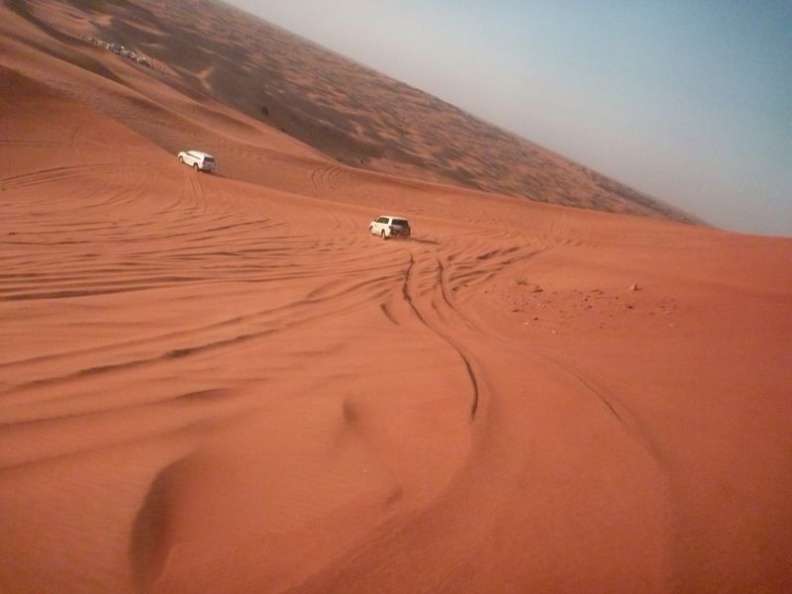 desert_safari_dubai_052.jpg