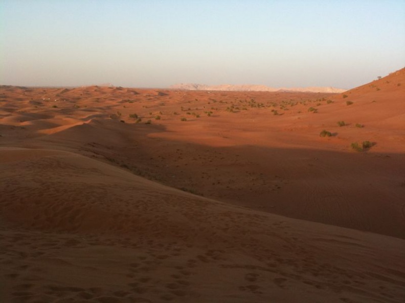 desert_safari_dubai_073.jpg