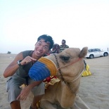 Omftfg Camels?