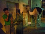 Sir 10,000 AED for the Camel? Mmmm