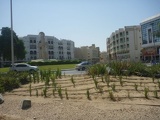 Sprinkler pipelines are a common sight through the arid lands