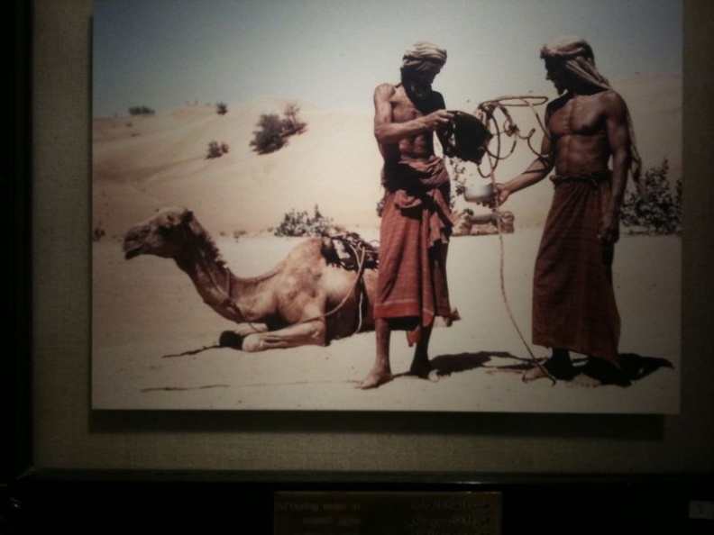 Camel riders