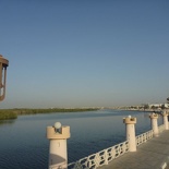 views of the Mangrove swamps