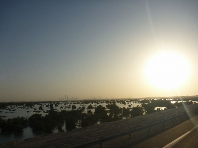 Passing by some mangrove areas