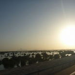 Passing by some mangrove areas