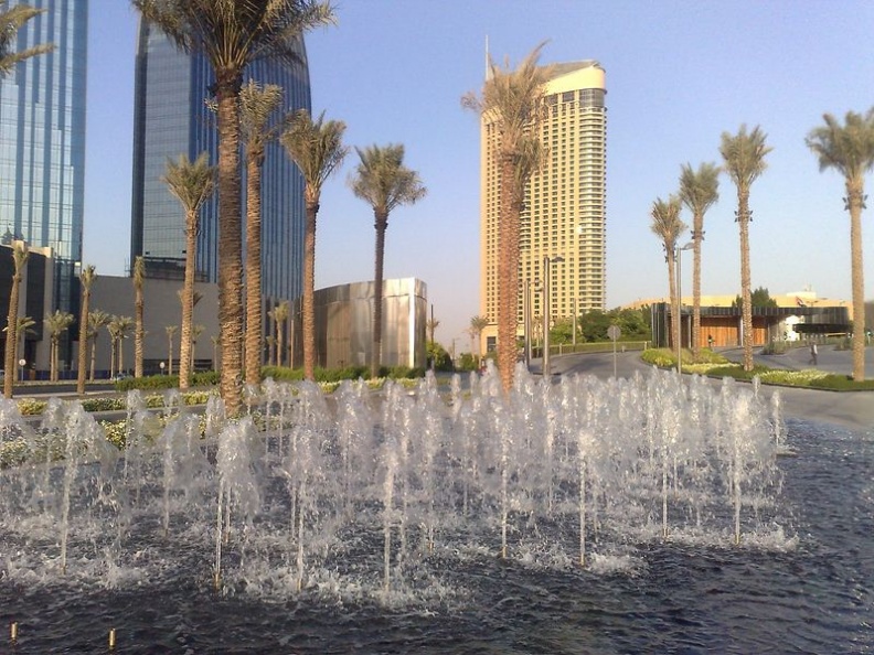 Digging the view with the palms in the background