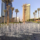 Digging the view with the palms in the background