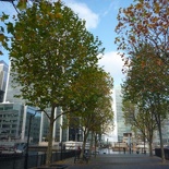 some of the greeny area the bays