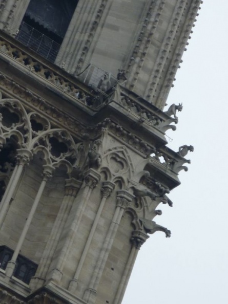 paris_notre_dame_05.jpg